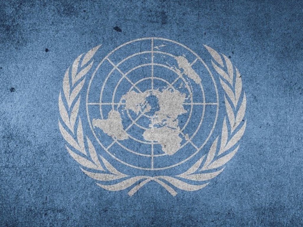 The United Nation’s Role in Combating Racism and Discrimination: 7 Recommendations for Greater Effectiveness