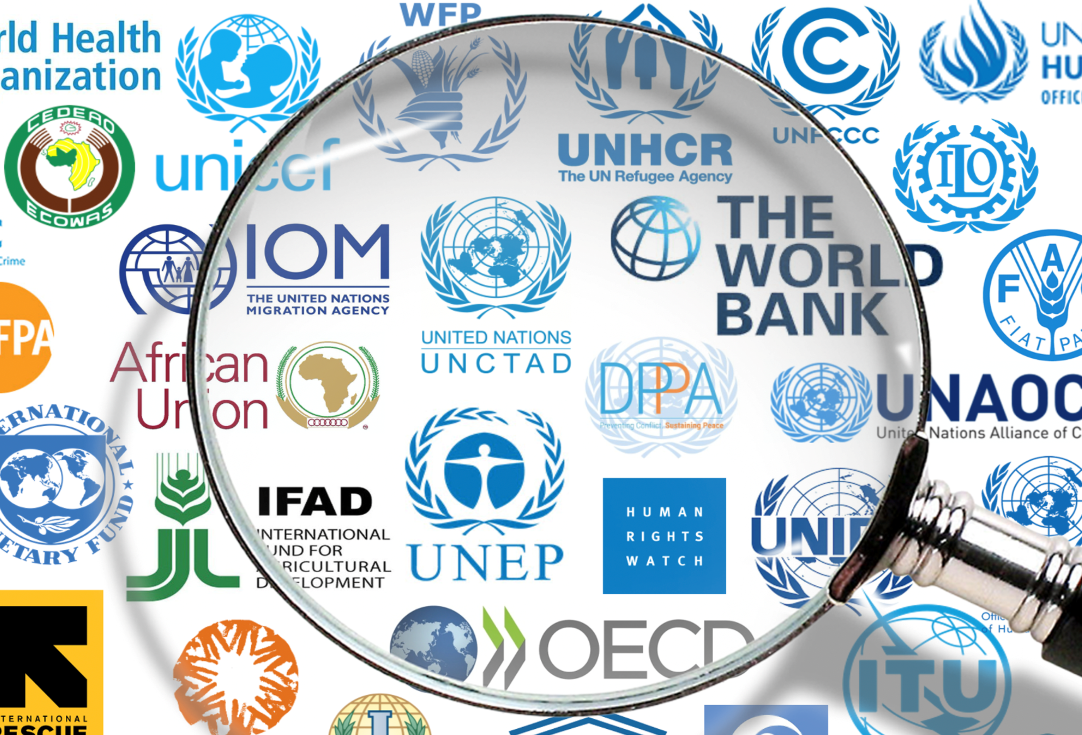 On the Agency and Pathology of International Organizations