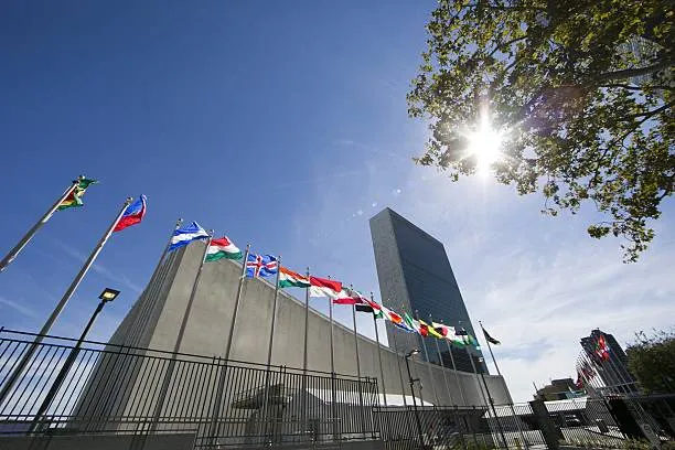 Reforming the United Nations: Fit for Purpose at 75?