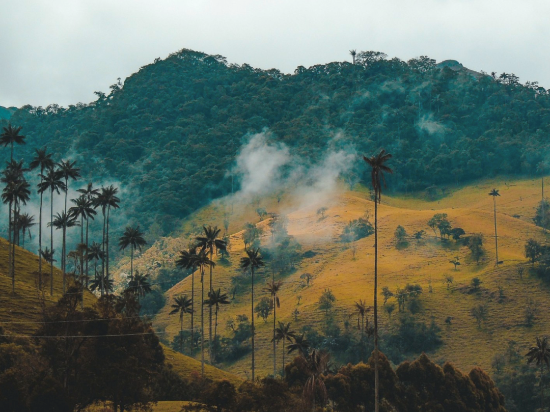 Re-defining State Intervention: Achieving Balanced Decision Making in Sustainable Finance
