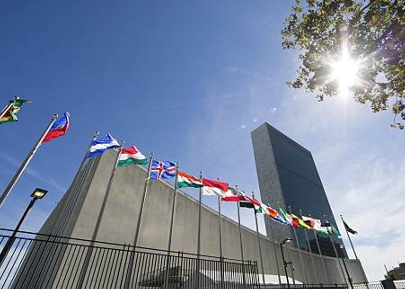 Reforming the United Nations: Fit for Purpose at 75?